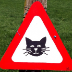 Warnschild: Vorsicht "Cat content"