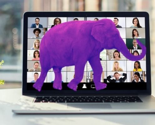 Der Elefant im Zoom